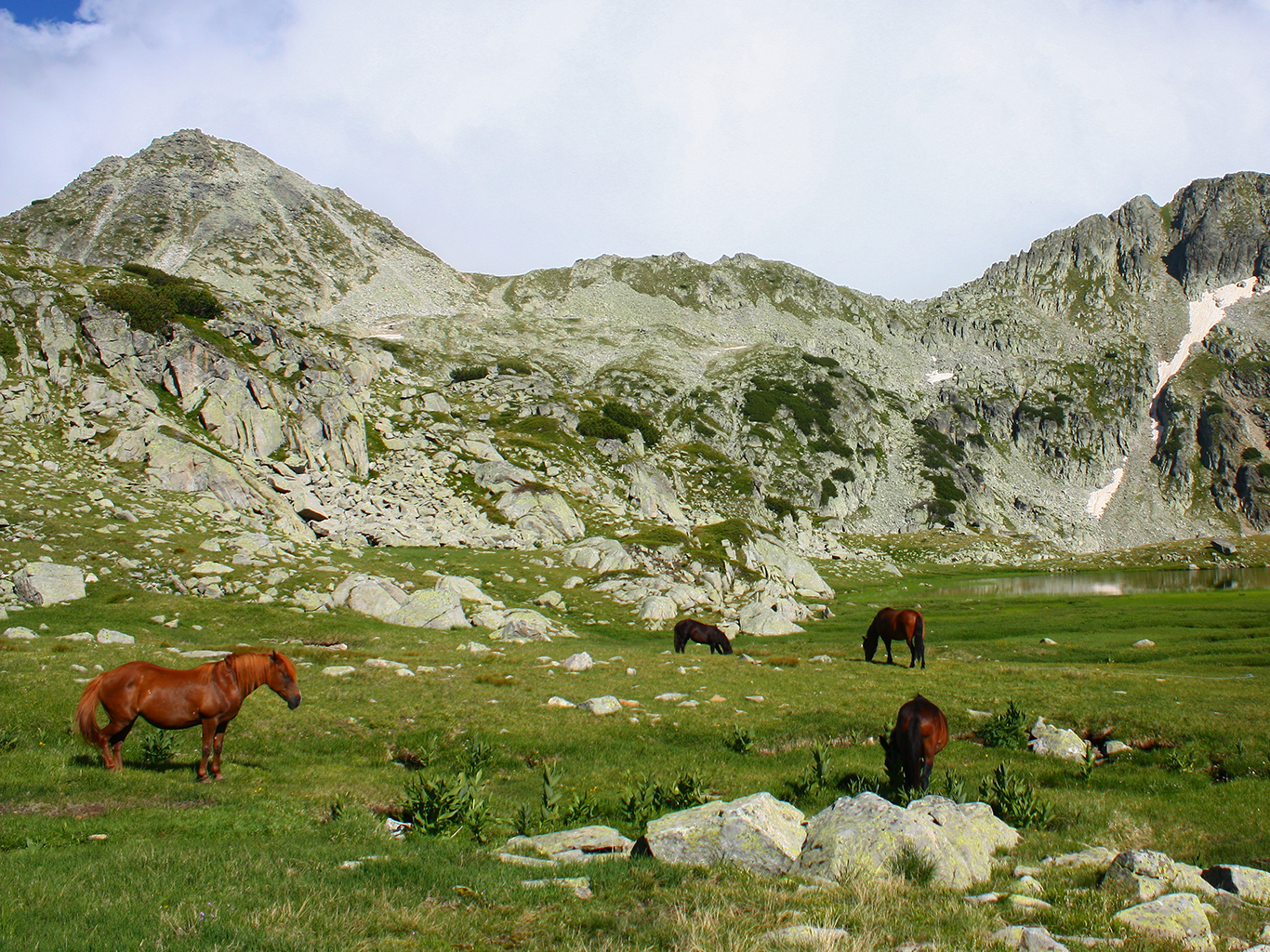 Národní park Pirin je zapsán na Seznam UNESCO