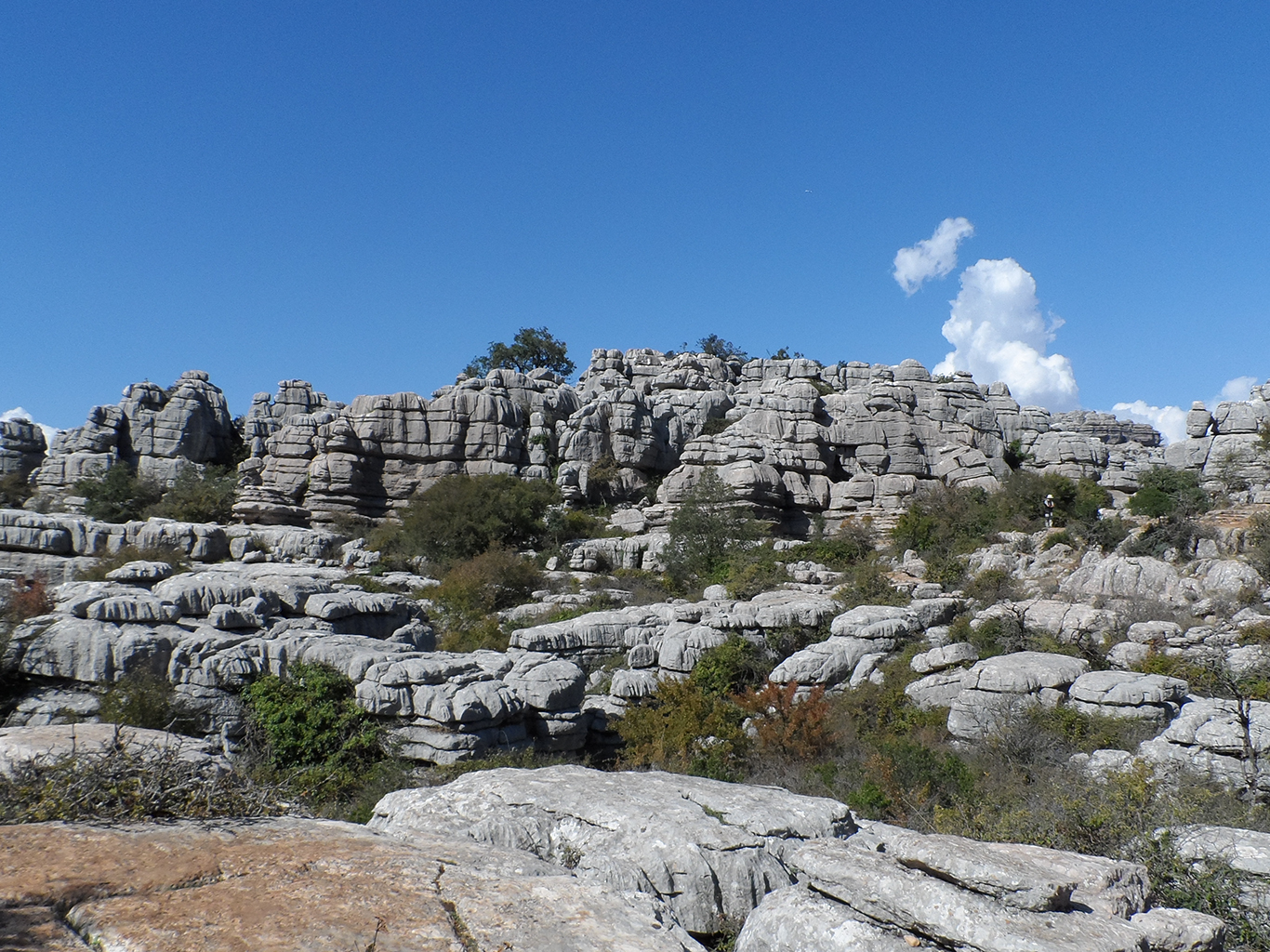 Zvětrávání skalního města El Torcal vytvořilo ze skal bizarní útvary