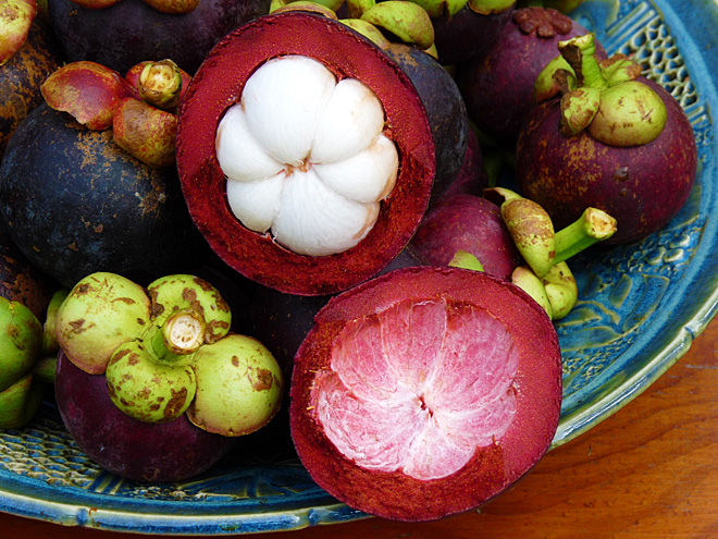 Mezi vynikající srílanské ovoce patří také mangostan (mangostana lahodná)