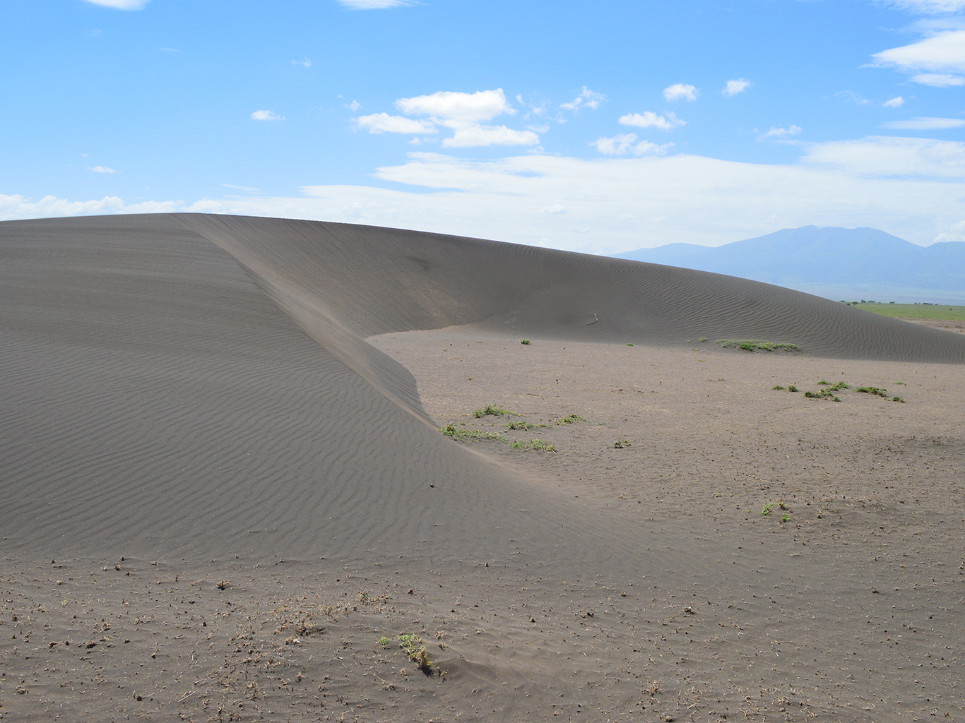 Hromadné foto u pohyblivé písečné duny Shifting Sands