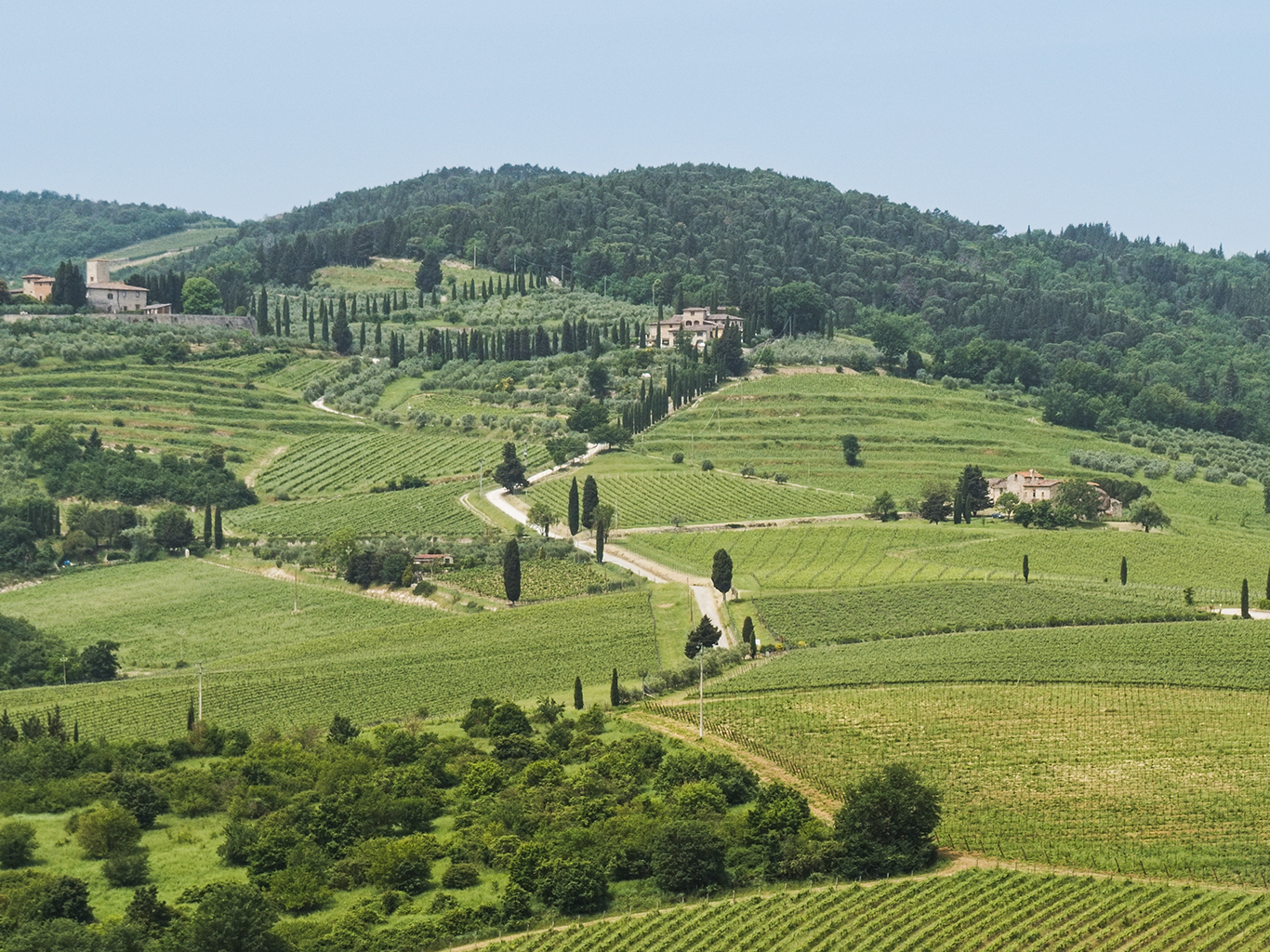 Typická toskánská krajina v oblasti Val d’Orcia 