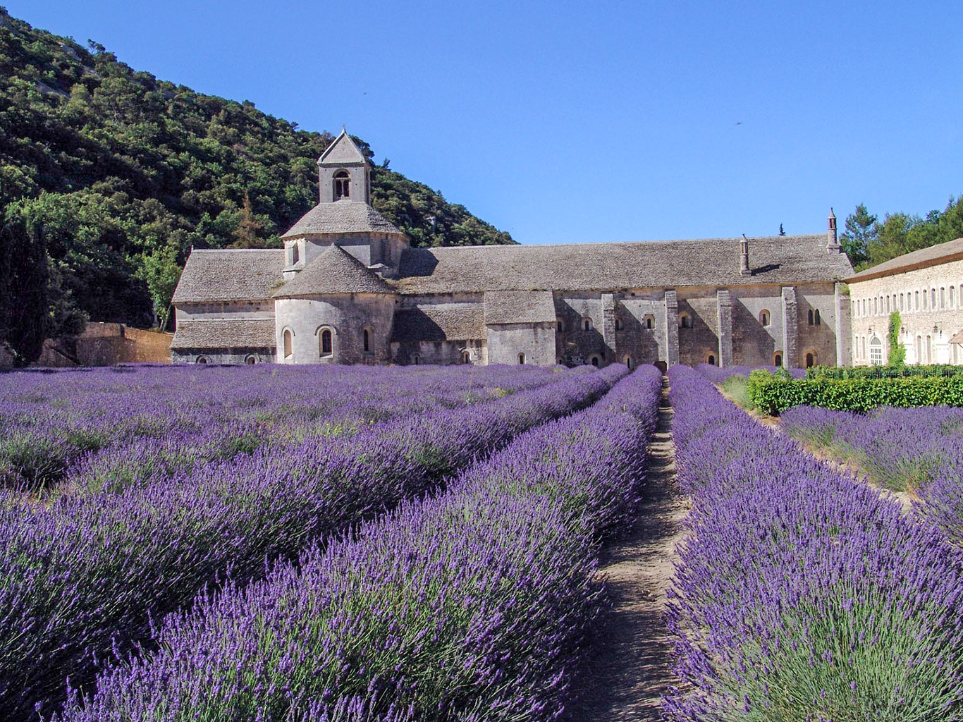 Sénanque je nejznámější cisterciácký klášter v Provence