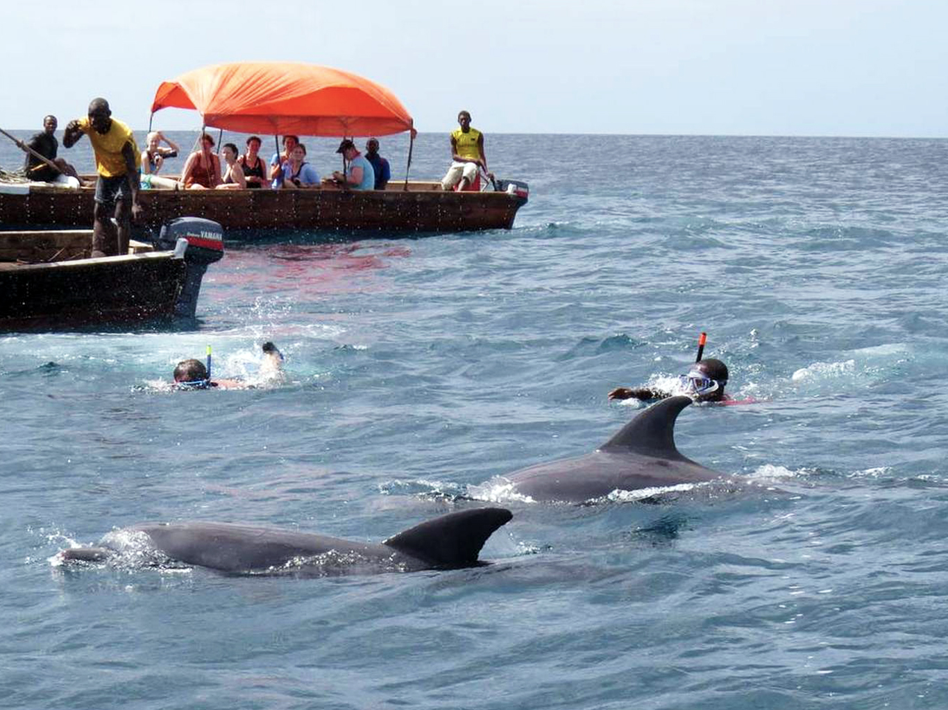 Šnorchlování mezi delfíny je úžasným zážitkem pro každého