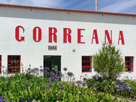 Čajová továrna Gorreana je nejstarší stále fungující čajová továrna v Evropě