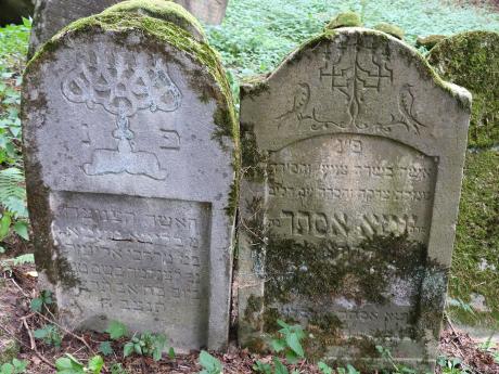 Židovský hřbitov v Lesku je jedním z nejstarších v Polsku