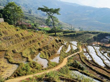 Sa Pa, to je typická scenerie rýžových teras, hor a údolí