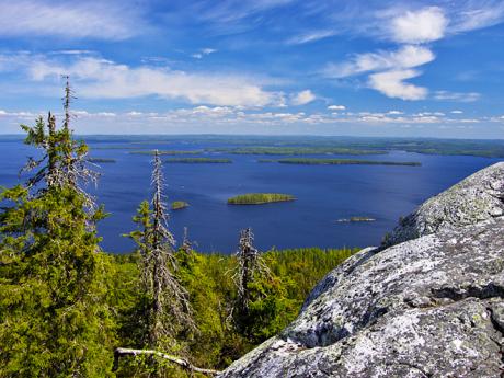 Výhled z vrchu Ukko-Koli na jezero Pielinen s množstvím mini ostrůvků