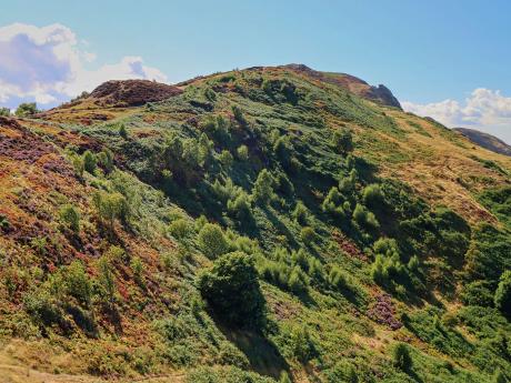 Zelené kopce jsou typické pro krajinu ve Wicklow Mountains