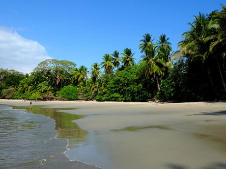 Na Kostarice nechybí panenské pláže