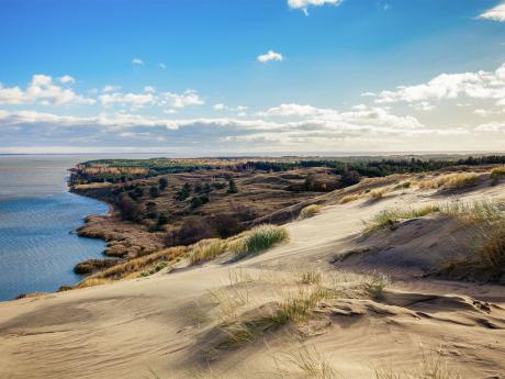 Písečné duny na Kurské kose