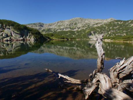 Název Smradlavé jezero je odvozen od zápachu tlejících rostlin