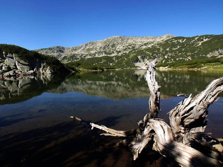 Název Smradlavé jezero je odvozen od zápachu tlejících rostlin