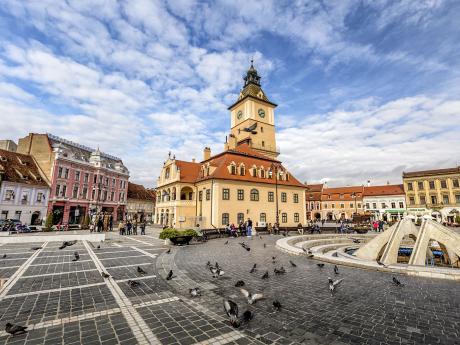 Holubi na náměstí v Brašově