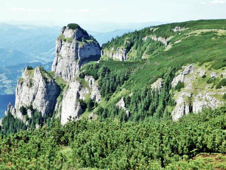 Ve vyšších pásmech pohoří Ceahlău najdete hlavně jalovce a kosodřeviny