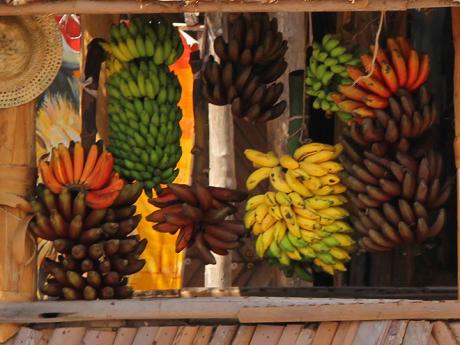 Banány všech barev, chutí a velikostí v Mto Wa Mbu