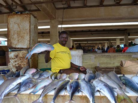 Rybí trh s různobarevnými exotickými rybami